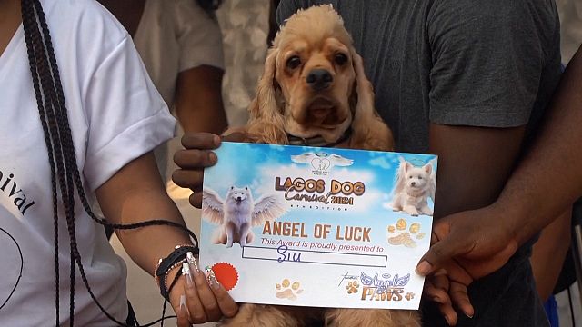 A carnival for dogs in Nigeria