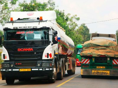 Tanzania’s cross-border trade surplus grows by 24.8 percent