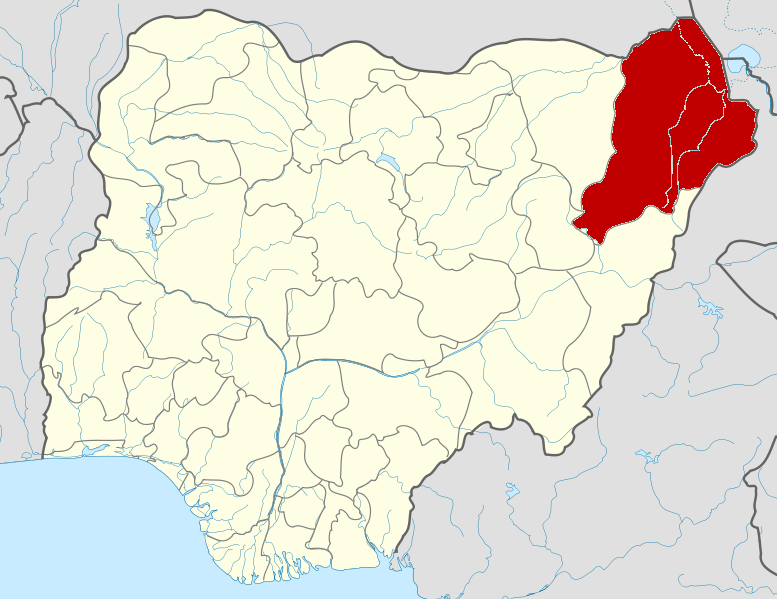JUST IN: 11 killed in Borno bomb explosion