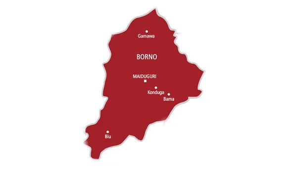 JUST IN: Bomb explosion kills four travellers in Borno