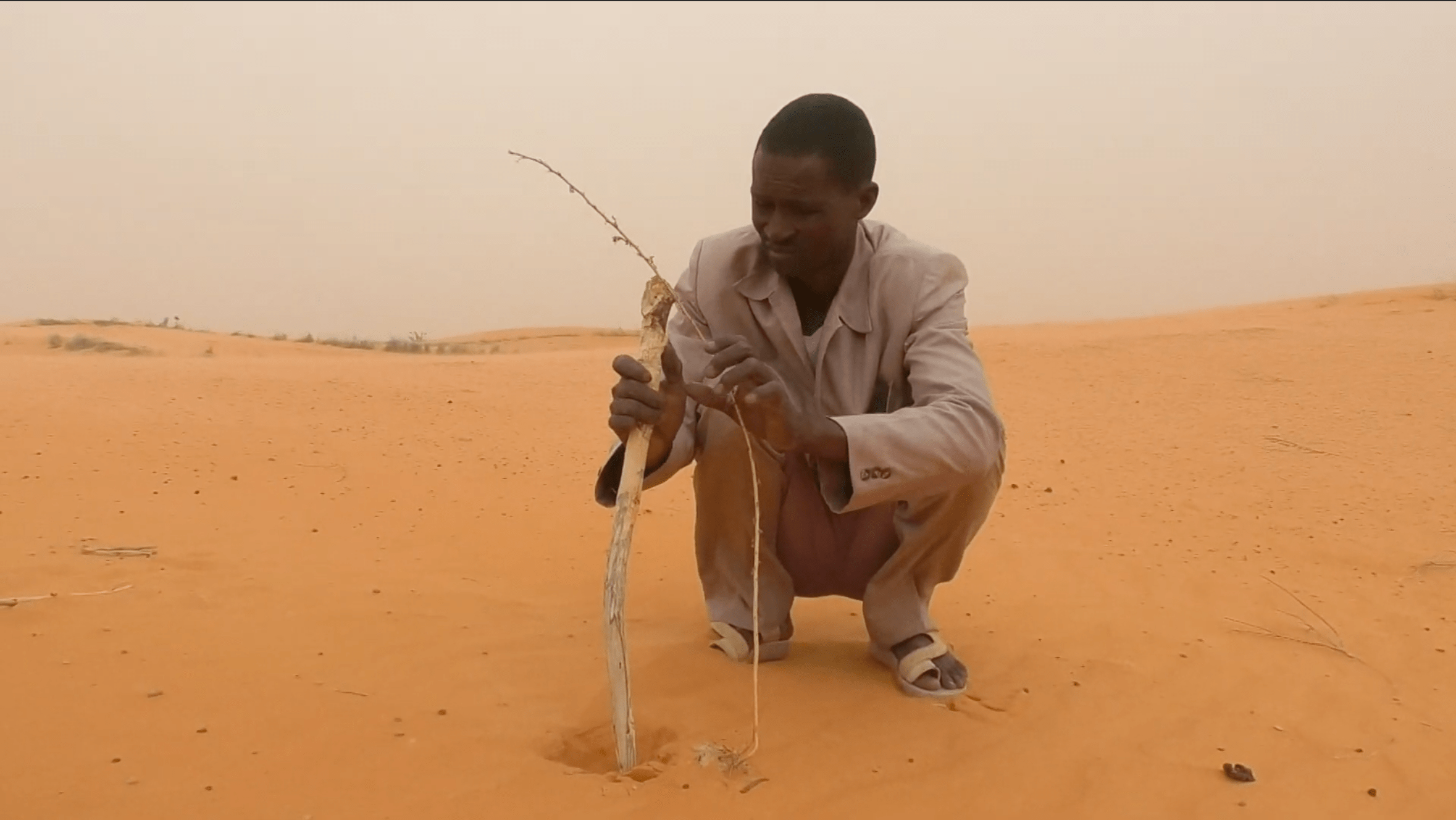 Consumed by Terror: Africa’s ambitious Great Green Wall faces crucial threat (1)