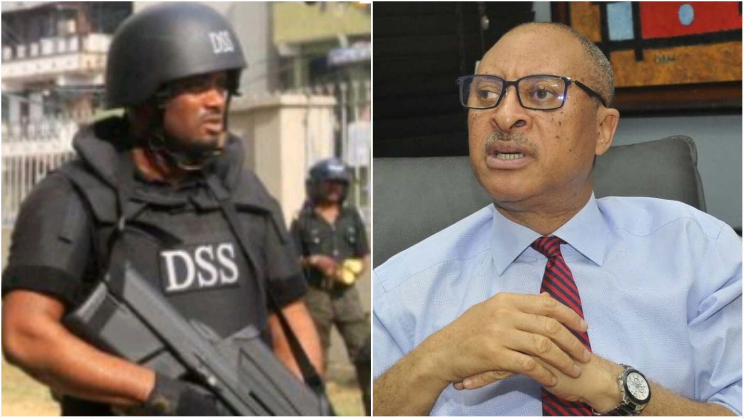 Shadow Government: Court-invited legal experts divided as judge hears SSS suit against Utomi
