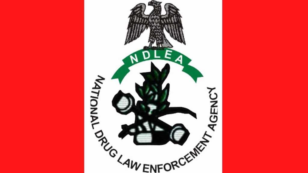 NDLEA operative shot dead on duty