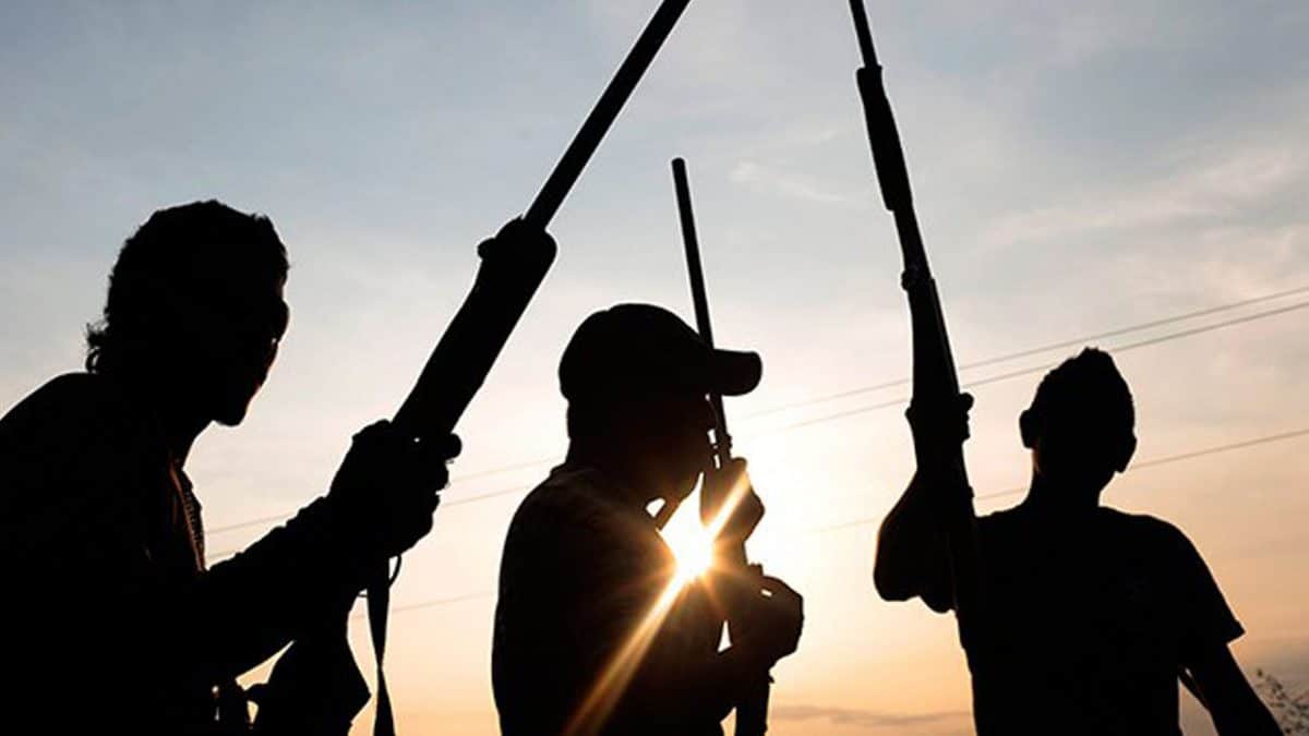 Vigilante leader killed, others missing as suspected herders attack Imo community