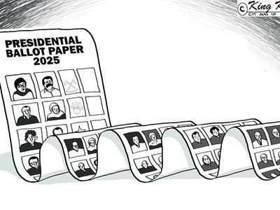 Edtoon 15