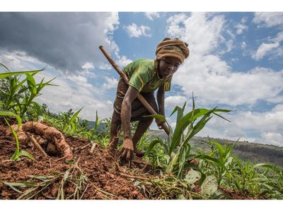 Why Nane Nane deserves a rethink