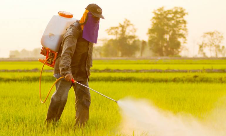 How EU-banned pesticides are poisoning Africa’s ecosystems, future