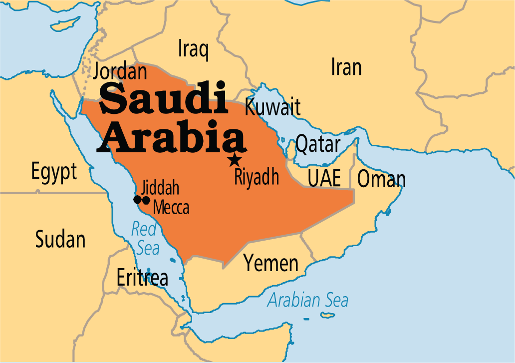 ANALYSIS: Saudi Arabia In Africa: the Kingdom courts the Continent