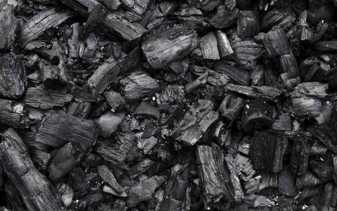 Experts fault Nigeria’s forest economy plan for sidelining charcoal, urge policy reform