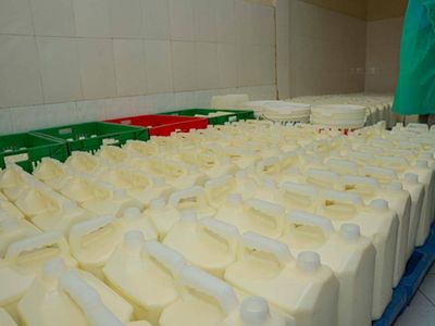 Women hail dairy farming for lifting them out of poverty