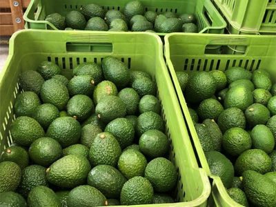 Farm exports from Tanzania gain traction in China