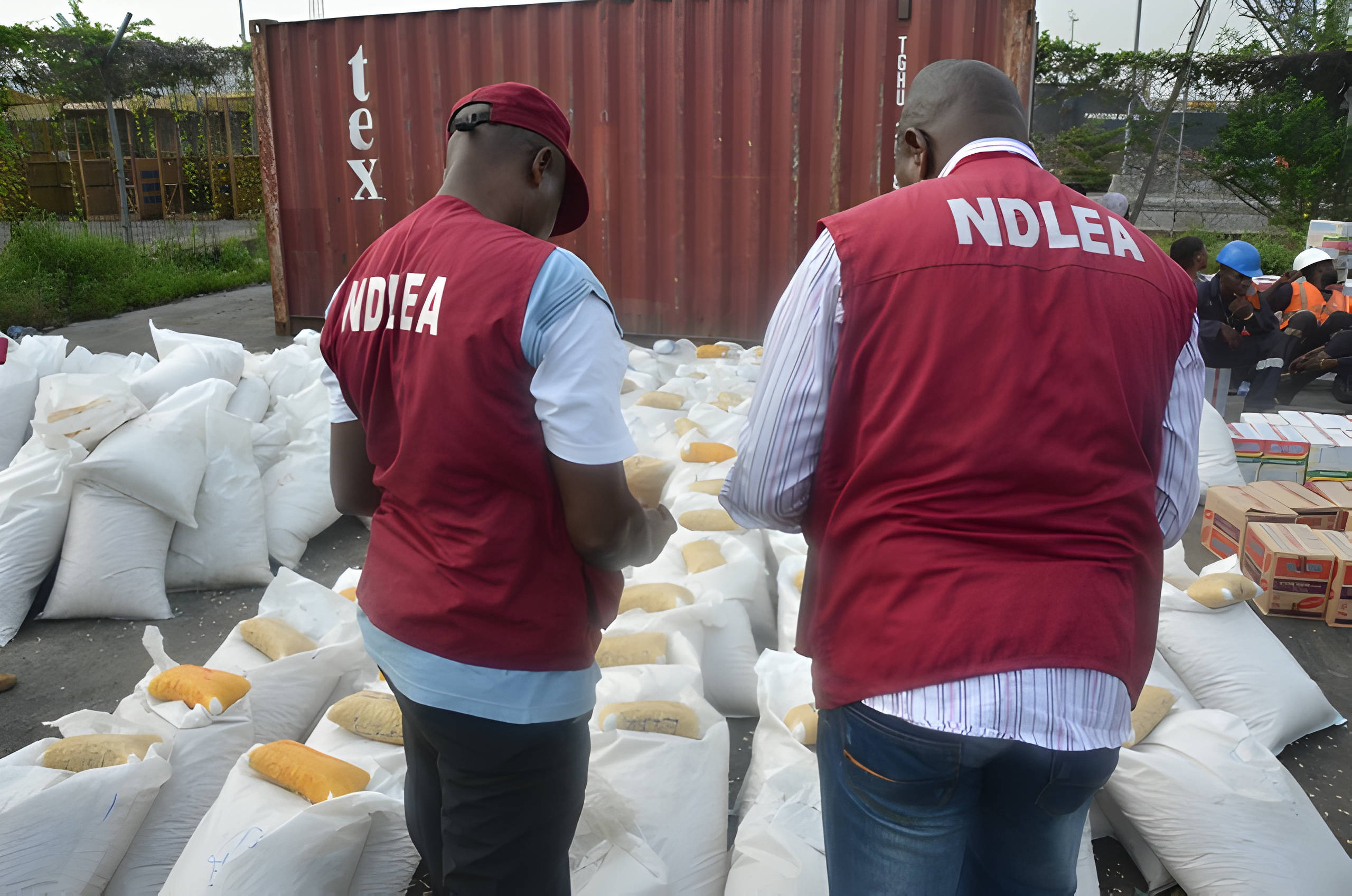 NDLEA swoops on suspected drug dealers across Nigeria, arrests wanted baron in Lagos