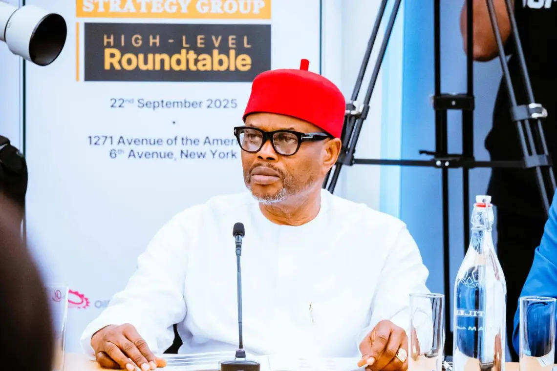 Certificate Scandal: UNN, VC ask court to dismiss Ex-Minister Nnaji’s suit