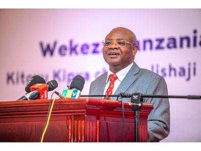 Tanzania now puts youth at centre of new investment drive