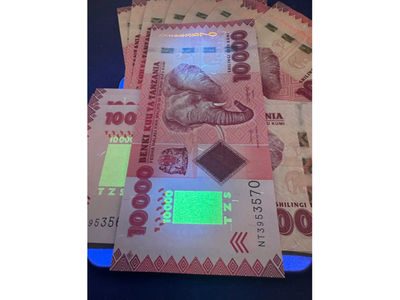 BoT officials detail how to spot fake notes as penalties hit life imprisonment